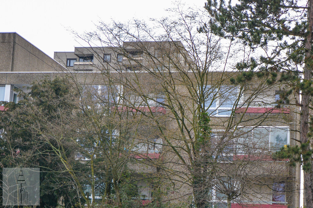 106516091-DSC-5934-01.jpg