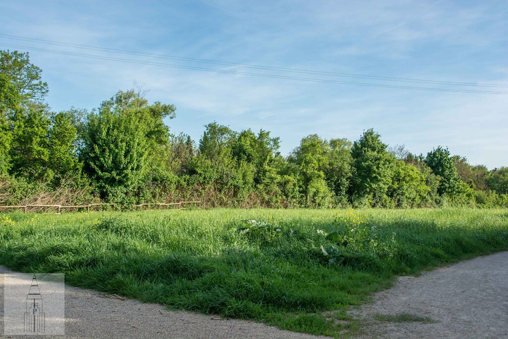 K-98261438-Frankfurt-Alpenroder-Strasse-5.JPG