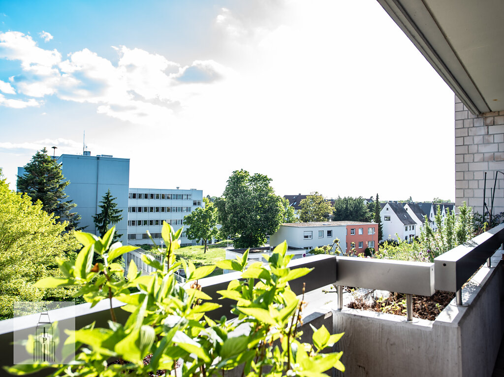 M-111531546-Langen-4.JPG