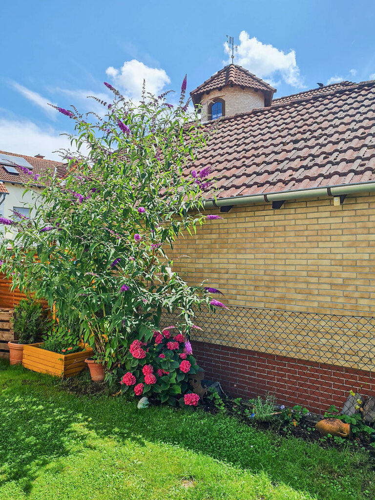 Garten.jpg